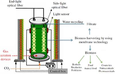 Enhancing Biomass and Lutein Production From Scenedesmus almeriensis: Effect of Carbon Dioxide Concentration and Culture Medium Reuse